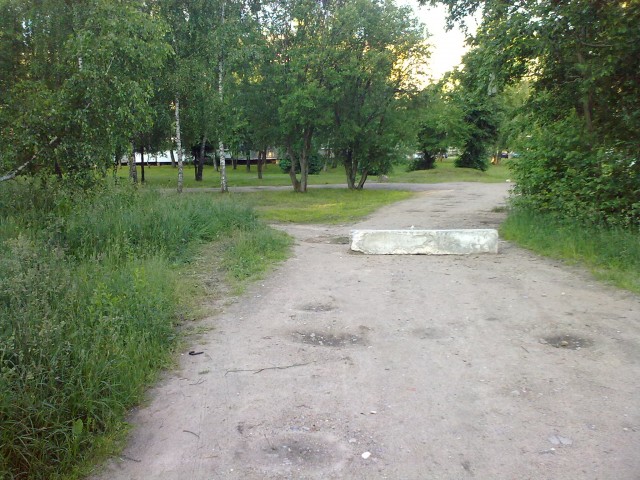 20090615024.jpg