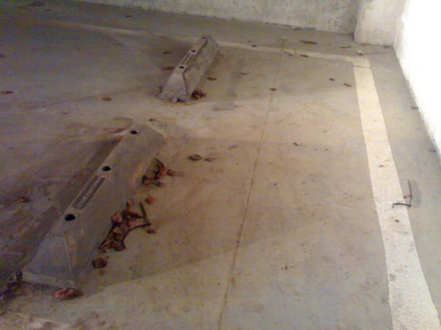 20100418(001).jpg