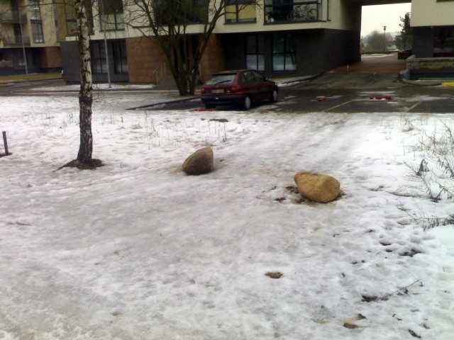 20090317.jpg