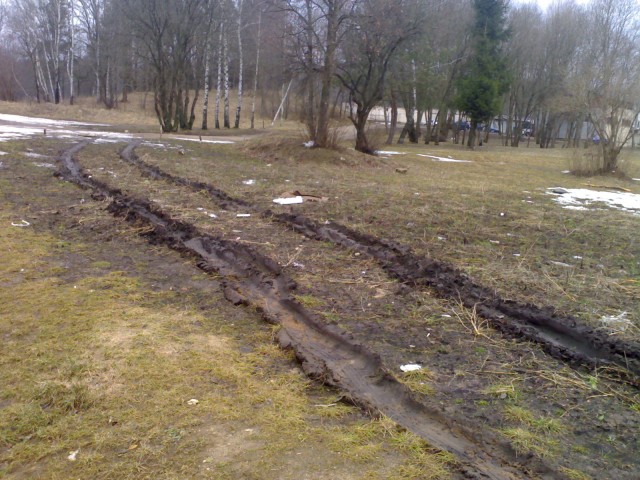 20090331.jpg