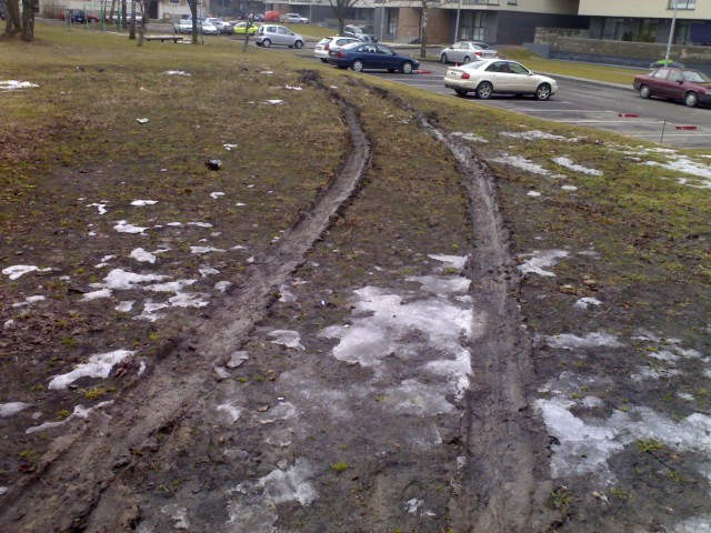 20090331(001).jpg